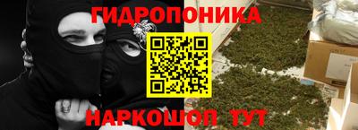 крисы Донецк