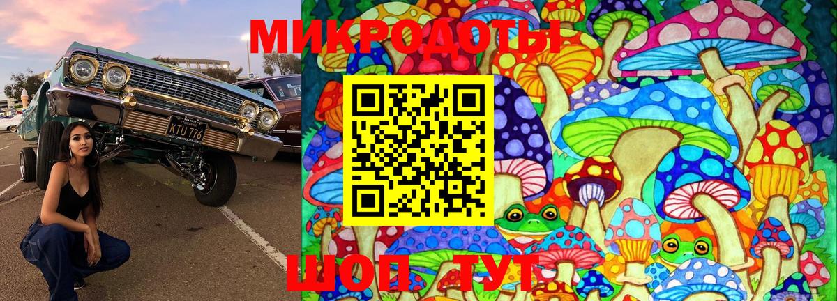 Псилоцибиновые грибы мицелий Когалым